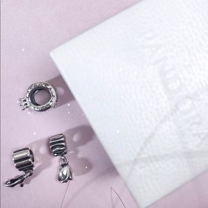 Pandora charms
